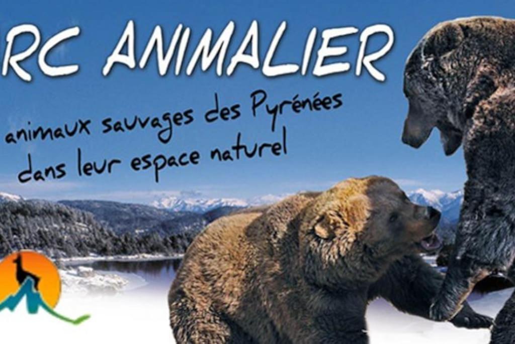 Le Cocon Pelerins Lägenhet Les Angles  Exteriör bild